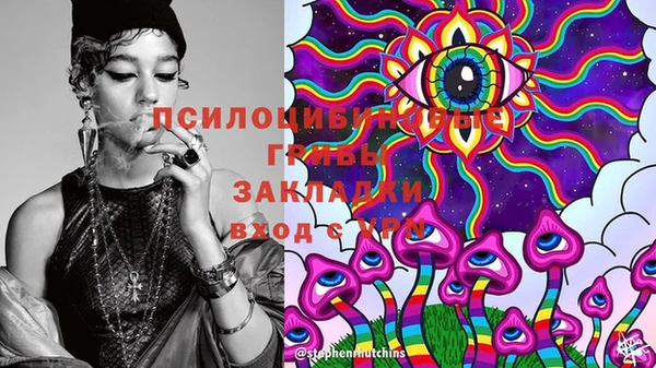 дживик Киреевск