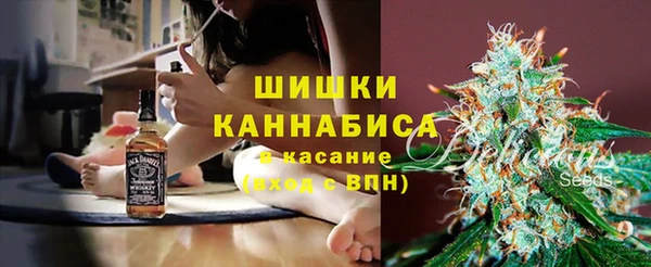 дживик Киреевск