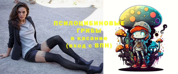 дживик Киреевск
