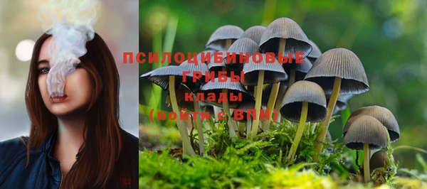 гидра Кинешма