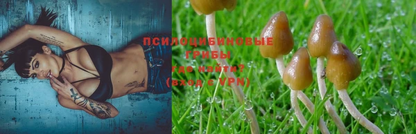дживик Киреевск