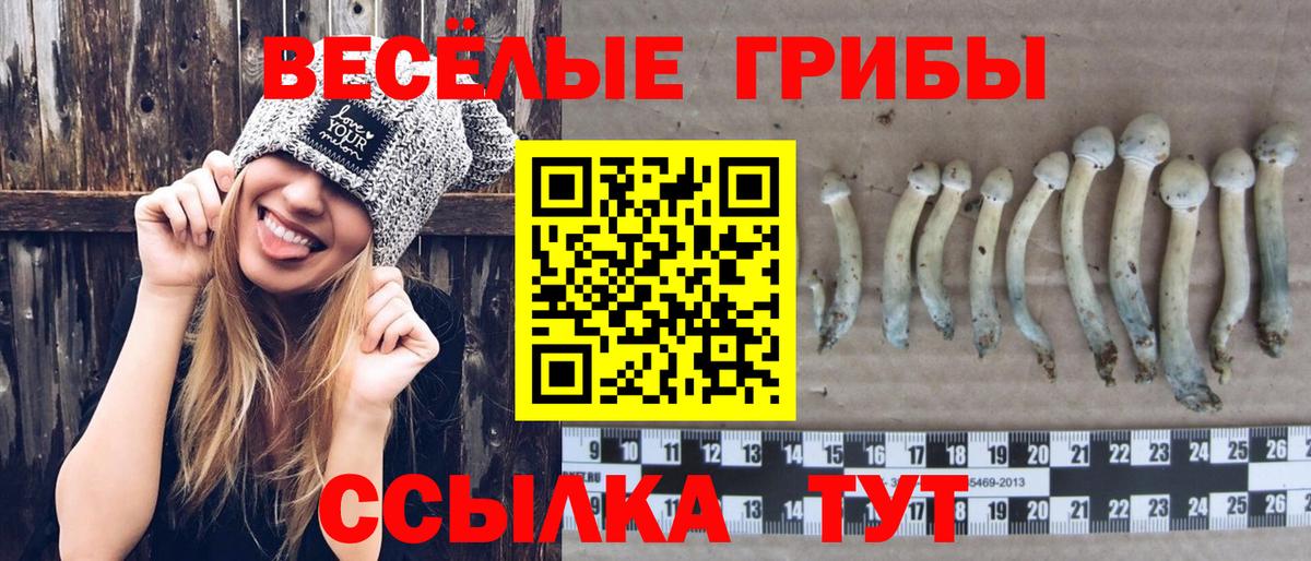 Псилоцибиновые грибы прущие грибы  Костомукша 