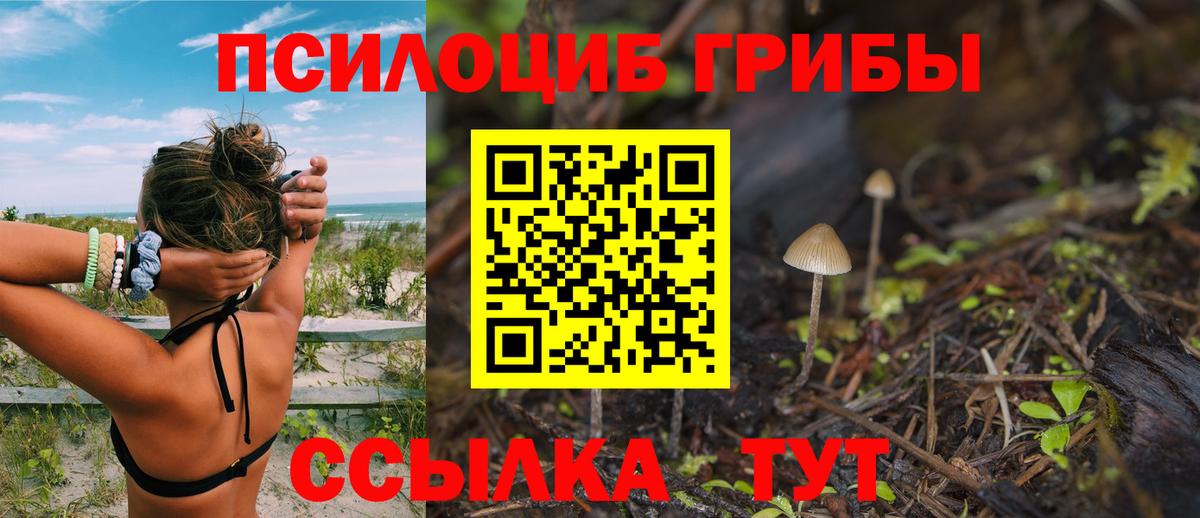 Галлюциногенные грибы ЛСД Костомукша