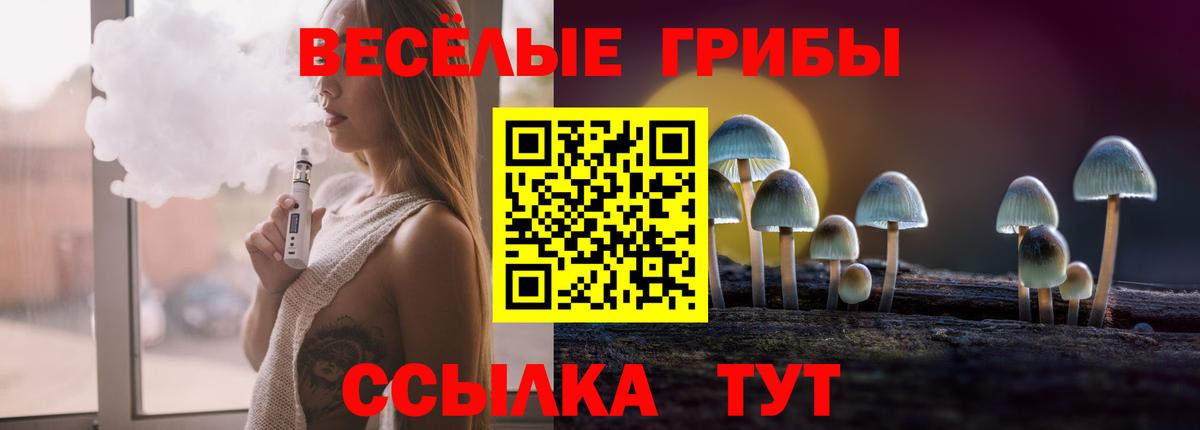 Псилоцибиновые грибы GOLDEN TEACHER  Вход с VPN  Костомукша 